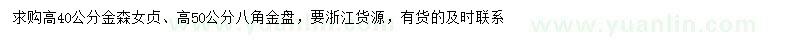 求购高40公分金森女贞、高50公分八角金盘