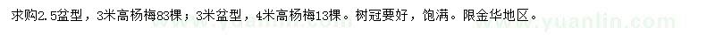 求购高3、4米杨梅