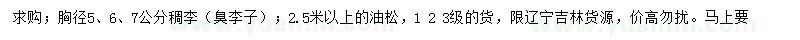 求购胸径5、6、7公分稠李、2.5米以上油松