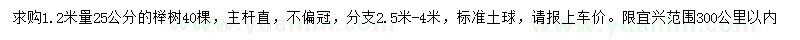 求购1.2米量25公分榉树