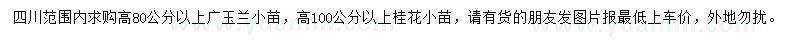 求购高80公分以上广玉兰、高100公分以上桂花