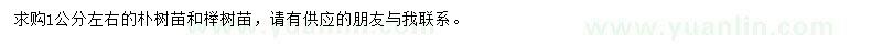 求购1公分左右朴树、榉树