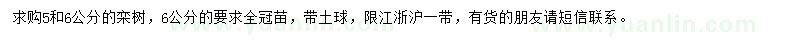 求购5、6公分栾树