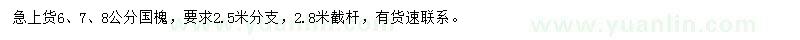 求购6、7、8公分国槐