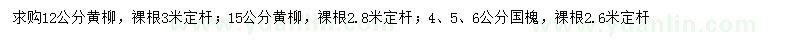 求购12、15公分黄柳、4、5、6公分国槐