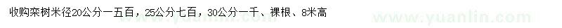 求购米径20、25、30公分栾树