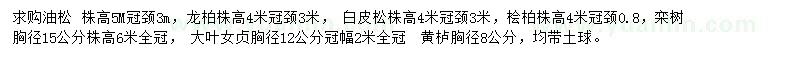 求购油松、龙柏、白皮松等