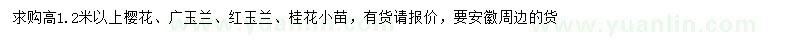 求购樱花小苗、广玉兰小苗、红玉兰小苗等