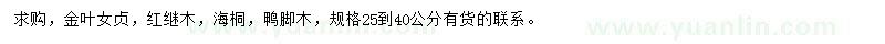 求购金叶女贞、红继木、海桐等