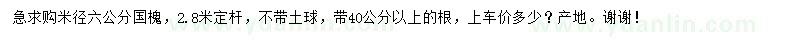 求购米径6公分国槐