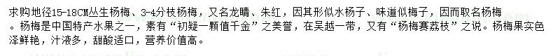 求购地径15-18公分丛生杨梅、3-4分枝杨梅