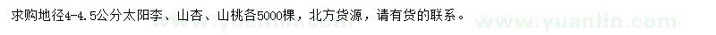 求购太阳李、山杏、山桃