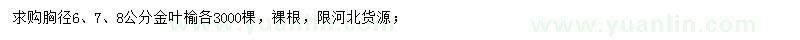 求购胸径6、7、8公分金叶榆