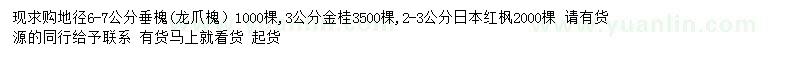 求购龙爪槐、金桂、日本红枫