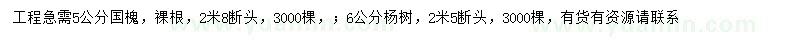 求购5公分国槐、6公分杨树