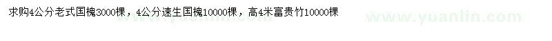 求购4公分国槐、速生国槐、高4米富贵竹