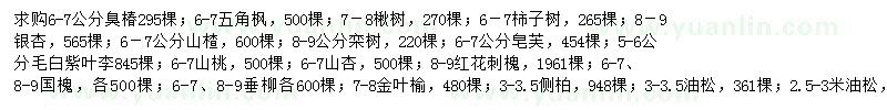 求购臭椿、五角枫、楸树等