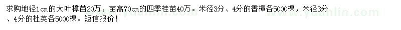 求购大叶樟、四季桂、香樟等