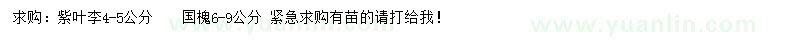 求购4-5公分紫叶李、6-9公分国槐