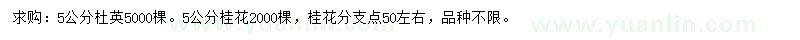 求购5公分杜英、桂花