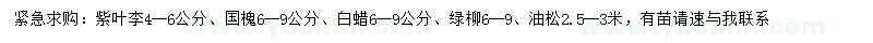 求购紫叶李、国槐、白蜡等