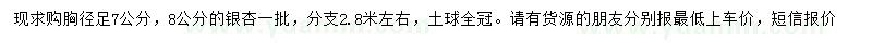 求购胸径7、8公分银杏