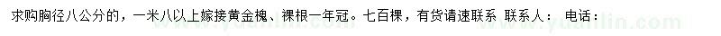 求购胸径8公分黄金槐