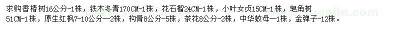 求购香椿树、花石榴、小叶女贞等