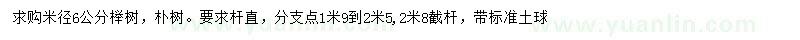 求购米径6公分榉树、朴树