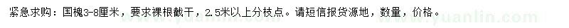 求购3-8公分国槐