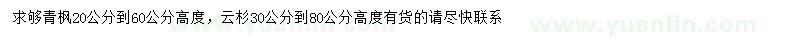 求购高20-60公分青枫、30-80公分云杉