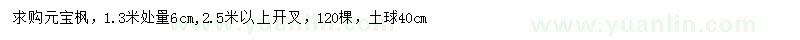 求购1.3米量6公分元宝枫