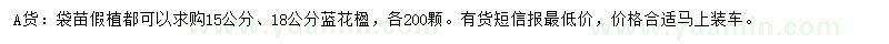 求购15、18公分蓝花楹