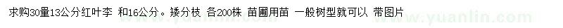 求购30处量13、16公分红叶李