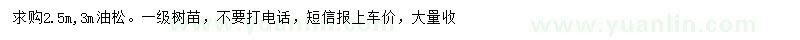 求购2.5、3米油松