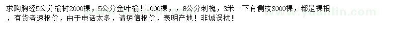 求购榆树、金叶榆、刺槐