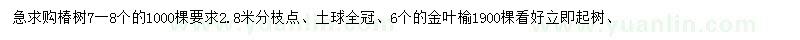 求购7-8公分椿树、6公分金叶榆