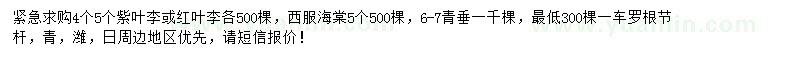 求购紫叶李、西府海棠、青垂