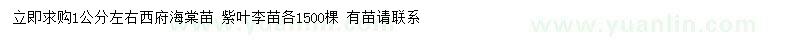 求购1公分西府海棠、紫叶李小苗