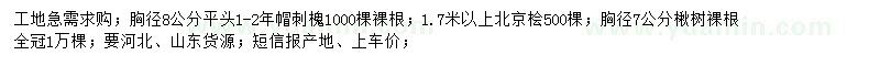 求购刺槐、北京桧、楸树