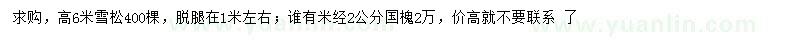 求购高6米雪松、米径2公分国槐