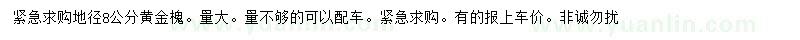 求购地径8公分黄金槐