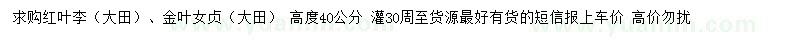 求购高40公分红叶李、金叶女贞