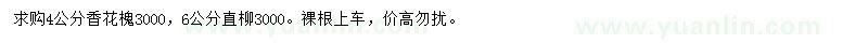求购4公分香花槐、6公分直柳