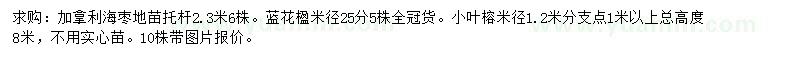 求购加拿利海枣、蓝花楹、小叶榕