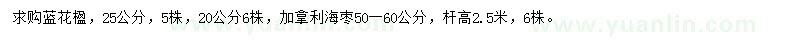 求购25公分蓝花楹、50-60公分加拿利海枣