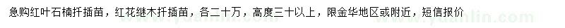 求购高30公分以上红叶石楠、红花继木