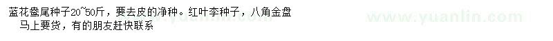 求购蓝花鸯尾、红叶李种子、八角金盘