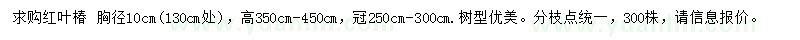 求购130公分处量10公分红叶椿