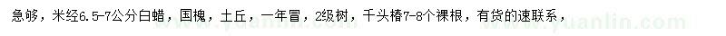 求购白蜡、国槐、千头椿